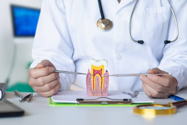 Best After-Hours Dental Care in South Whitley, IN